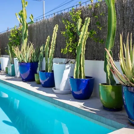 Paloma With Private Pool, Located 350m To The Sea And Tram Station! Dom wakacyjny Alicante