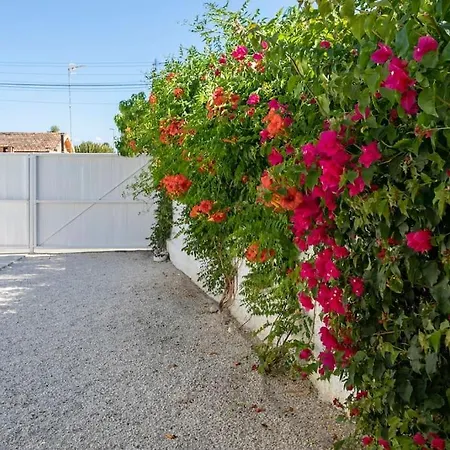 Paloma With Private Pool, Located 350m To The Sea And Tram Station! *